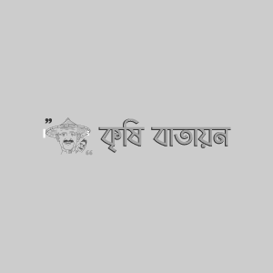 তুলার আঁচা পোকা